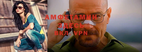 ешки Горняк