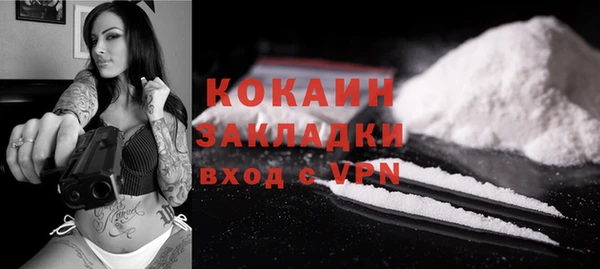 ешки Горняк