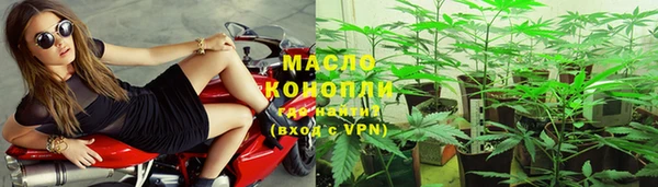 ешки Горняк