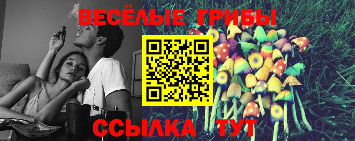 Гулькевичи  Галлюциногенные грибы мухоморы  Псилоцибиновые грибы Psilocybe  Вход с VPN 