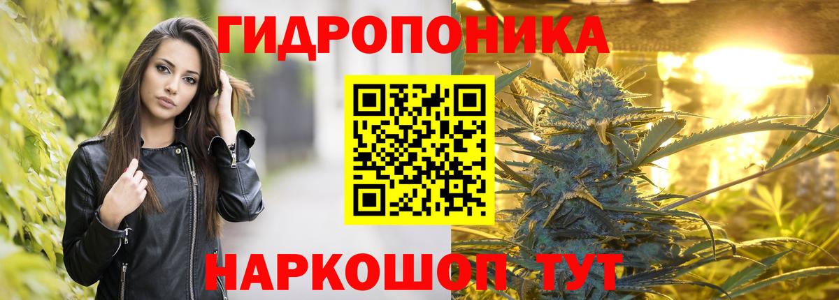 Каннабис конопля Гулькевичи